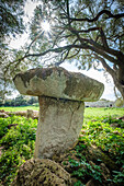 Torrellafuda, Taula shrine-enclosure,  Talayotic town, Ciutadella, Menorca, Balearic Islands, Spain