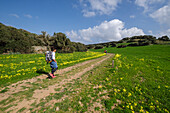 hiker walking the horse path, - Cami de Cavalls-,s'Albufera des Grau Natural Park, Menorca, Balearic Islands, Spain