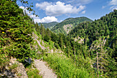  On the trail through the Rappin Gorge, Jachenau, Upper Bavaria, Bavaria, Germany 