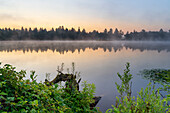  Moor - at daybreak in the Weilheimer Moos, Weilheim, Upper Bavaria, Bavaria, Germany 