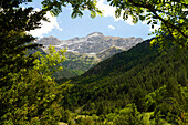  Mountain landscape in the Bujaruelo Valley or Valle de Bujaruelo near Torla-Ordesa, Spain, Europe 