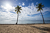 Plage de Bois Jolan, Sonnenaufgang am Strand, Sainte-Anne, Guadeloupe, Französische Antillen, Frankreich, Europa