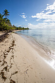  Plage de Bois Jolan, sunrise on the beach, Sainte-Anne, Guadeloupe, French Antilles, France, Europe 