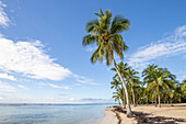  Plage de Bois Jolan, sunrise on the beach, Sainte-Anne, Guadeloupe, French Antilles, France, Europe 