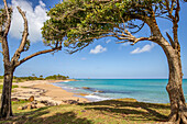 Pointe Allègre, Schöner Sandstrand in Plessis Nogent, Sainte Rose, Guadeloupe, Französische Antillen, Frankreich, Europa