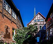  Figure hare and hedgehog, Hoyers Gang, former slum in the old town of Buxtehude, tower of the church of St. Petri in the background, Lower Saxony, Germany 