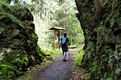  Hiking in the Höllental near Lichtenberg, Franconian Forest, Upper Franconia, Bavaria, Germany 