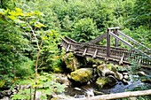 Wanderweg mit Brücke im Höllental bei Lichtenberg, Frankenwald, Ober-Franken, Franken, Bayern, Deutschland