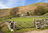 Boredale valley, Martindale, Lake District national park, Cumbria, England, UK