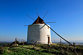  Traditionelle Windmühle, Vejer de la Frontera, Provinz Cádiz, Spanien 