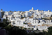 Pueblo blanco historic village whitewashed houses on hillside, Vejer de la Frontera, Cadiz Province, Spain