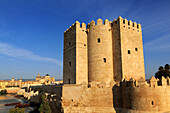  Mittelalterlicher Turm Torre de la Calahorra und römische Brücke, Cordoba, Spanien, Blick auf die Mezquita der Großen Moschee 