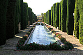 Gardens of the Alcázar de los Reyes Cristianos, Alcazar, Cordoba, Spain