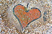 Detail of mosaic, representing a heart,  set discovered in the Remains of the Grand Basilica, Archaeological site of Butrint, Butrint National Park, UNESCO World Heritage Site, near Saranda, on the Ionian coast, Albania, Southeastern Europe