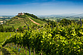 Burgruine und Weinberge, Staufen, Breisgau, Baden-Württemberg, Deutschland