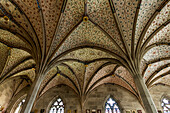 Kloster, Zisterzienserkloster Bebenhausen, Tübingen, Baden-Württemberg, Deutschland