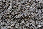  Structures in the basalt rock near Vik, Myrdalur, Iceland 