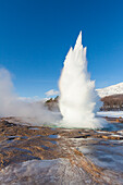 Strokkur-Geysir (Butterfass-Geysir) im Heisswassertal Haukadalur beim Ausbruch, Winter, Island