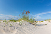 Strand bei Sandhammaren an der Ostsee, Skane, Schweden