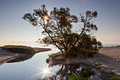  River Verkean flows into the Baltic Sea, summer, Skane, Sweden 