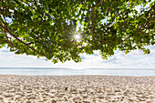 Strand von Knäbäckshusen, Provinz Schonen, Schweden