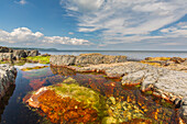 Felsige Küste an der Ostsee bei Vik, Skane, Schweden