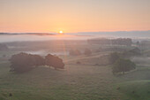 Morgennebel in den Hügeln von Brösarps backar, Provinz Schonen, Schweden