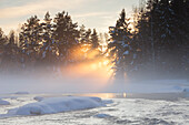  Cold fog over the river Dalaelven in winter, Gaestrikland, Sweden 