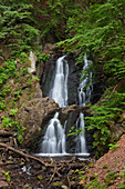  Forsakar, waterfall, 10.6m high, Skåne, Sweden 