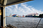  HHLA Container Terminal Burchardkai, Elbe, Port of Hamburg, Hamburg, Northern Germany, Germany 