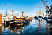  Sailing ship Peking in the Hasahafen, Elbe, Port of Hamburg, Hamburg, Northern Germany, Germany 