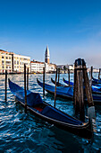 Canal Grande mit Blick auf Markusplatz, Venedig, Venetien, Italien