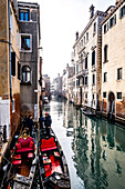  Gondoliers in the canals of Venice, Veneto, Italy 