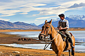 horse-riding,estancia Rio Mitre on the Argentino lakeshore,around El Calafate,Patagonia,Argentina,South America