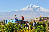 grape-pickers in the vineyards in front of  Khor Virap Monastery, Ararat plain, Mount Ararat in the background, Artashat, Armenia, Eurasia