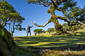 Lorbeerbaum mit einer an einen Zauberer erinnernden Gestalt und einer Person die ihm die Hand reicht, Fanal, Madeira, Portugal.