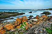 Küstenlandschaft an der Garden Route mit Felsen mit gelben Flechten, Otter Trail, Tsitsikamma Section, Garden Route National Park, Eastern Cape, Südafrika