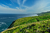 Weg des Otter Trails führt durch Küstenvegetation, Otter Trail, Tsitsikamma Section, Garden Route National Park, Eastern Cape, Südafrika