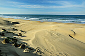  View of sandy beach and sea at Cannon Rocks Trail, Addo Elephant National Park, Eastern Cape, South Africa 