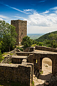 Burgruine Les Trois Châteaux d'Eguisheim, 'Schönstes Dorf Frankreichs' Eguisheim, Haut-Rhin, Alsace, Elsass, Grand Est, Frankreich