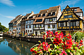 Malerische bunte Fachwerkhäuser, La Petite Venise, Colmar, Elsass, Bas-Rhin, Grand Est, Frankreich