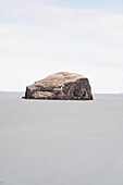 Blick auf eine Vogelkolonie auf dem Bass Rock, Leuchtturm, East Lothian Coast, Schottland, Vereinigtes Königreich