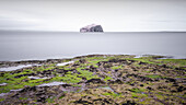 Blick auf den Bass Rock bei Ebbe, East Lothian Coast, Schottland, Vereinigtes Königreich