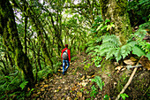 Wanderer im Nebelwald an den Hängen des Vulkans Toliman, Atitlan-See, Guatemala, Mittelamerika