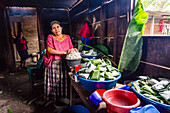 Preparing tamales for a celebration, Lancetillo, La Parroquia, Reyna area, Quiche, Guatemala, Central America