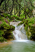 Torrent de Coanegra, Es Freu waterfall, Orient, Bunyola, Mallorca, Balearic Islands, Spain