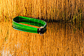  Nationalpark Tablas de Daimiel, Ciudad Real, Kastilien-La Mancha, Spanien, Europa 