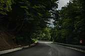 Road in the Caucasus mountains of Georgia