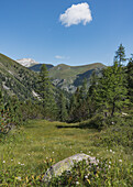  View of the Weißeck on the way to the Karwassersee in Lungau, Salzburg, Austria. 