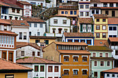  Many small colorful houses on the slope of the old town of Cudillero. 